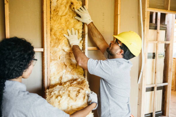 Best Blown-In Insulation  in Vonore, TN