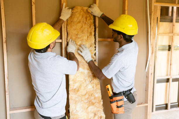 Best Basement Insulation  in Vonore, TN