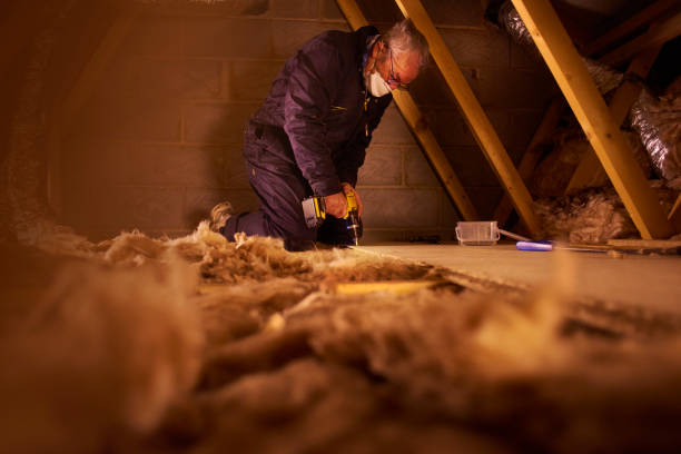 Best Blown-In Insulation  in Vonore, TN